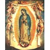 Virgen de Guadalupe 20x25