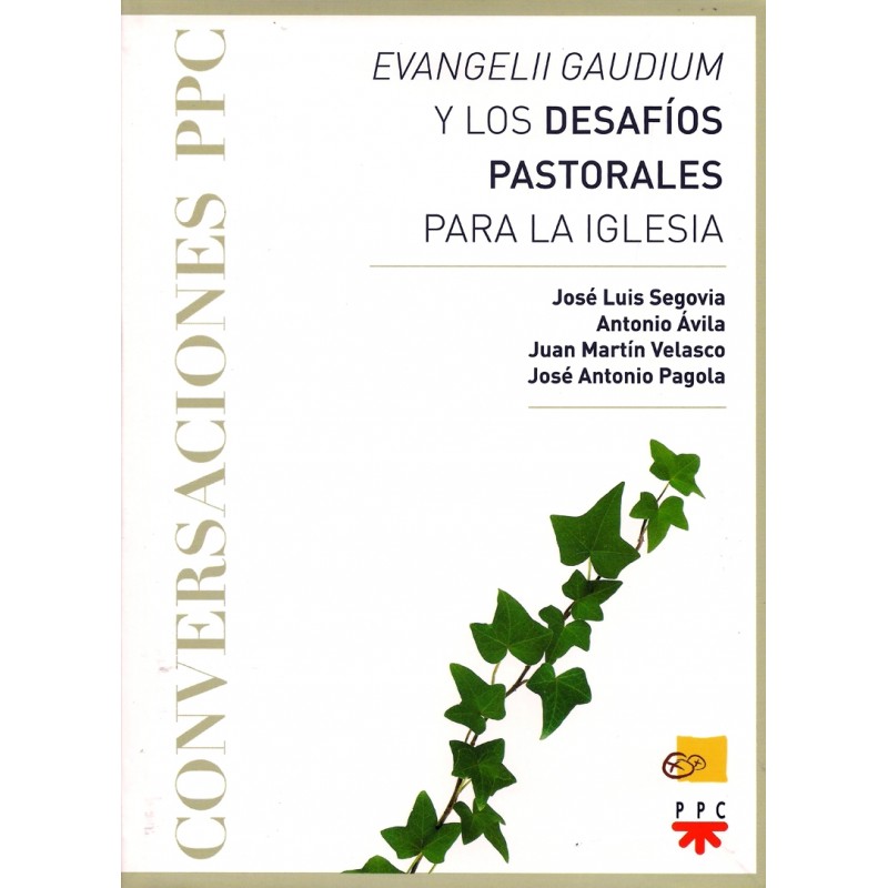 Evangelii gaudium y los desafíos pastorales para la Iglesia