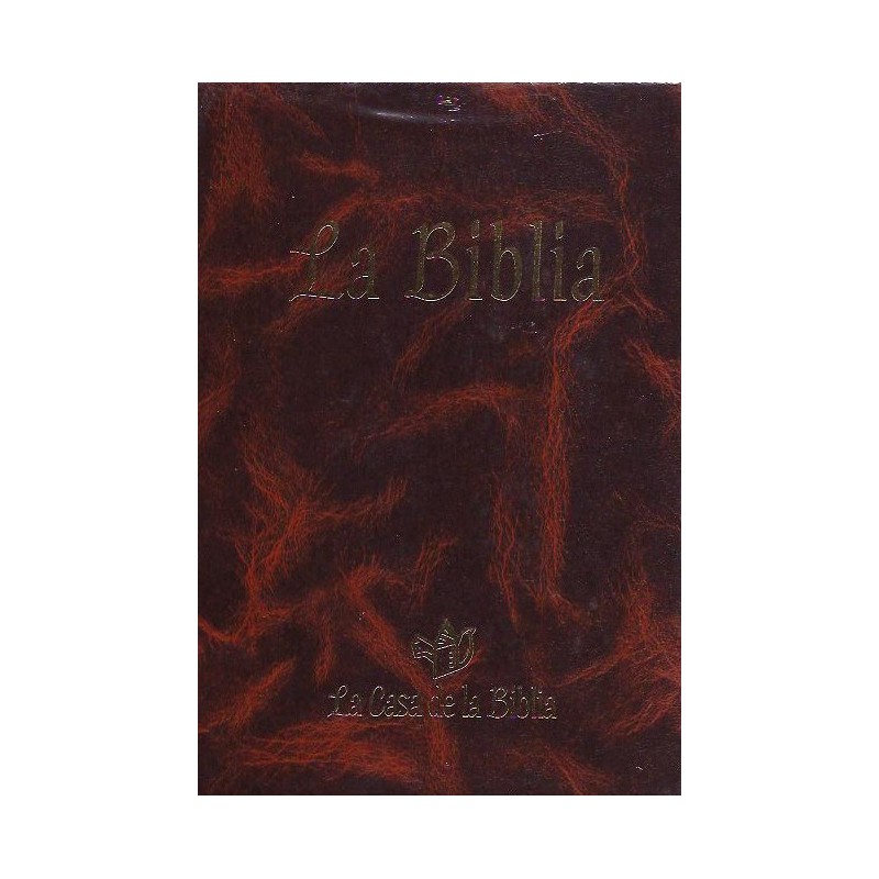 La Biblia – Manual Oro