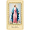 Estampa Virgen Milagrosa